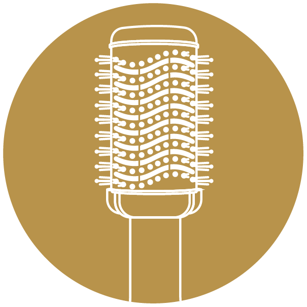 Hair Blow Brush