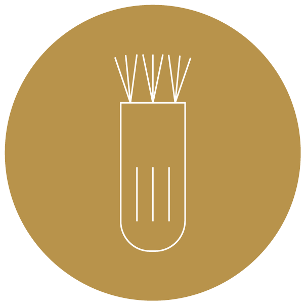 Cleaning Brush