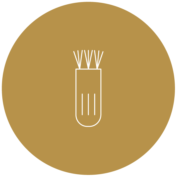 Cleaning Brush