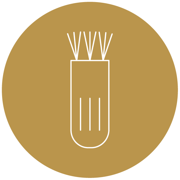 Cleaning Brush