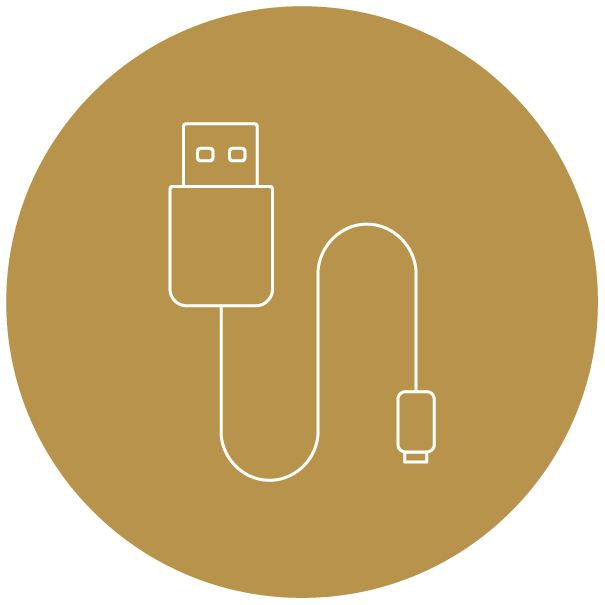 Charging Cable