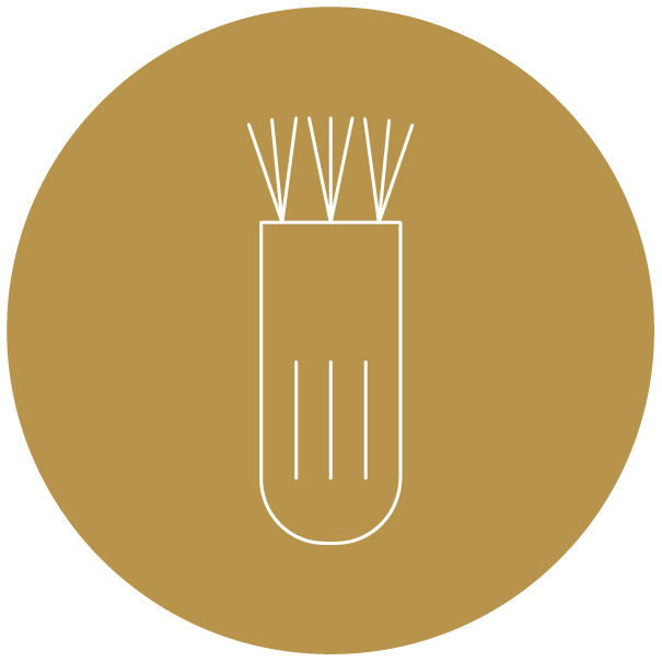 Cleaning Brush