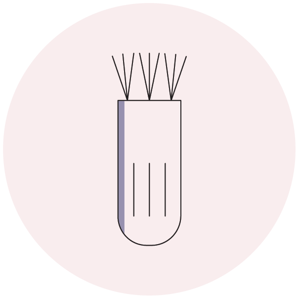 Cleaning Brush