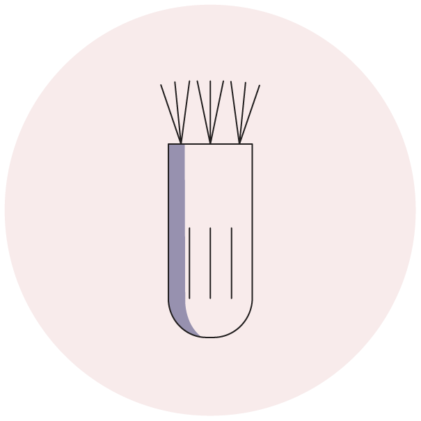 Cleaning Brush