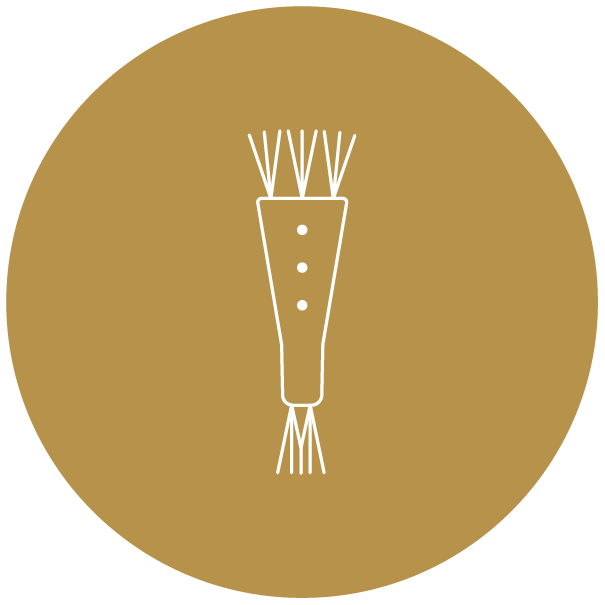1 Cleaning Brush