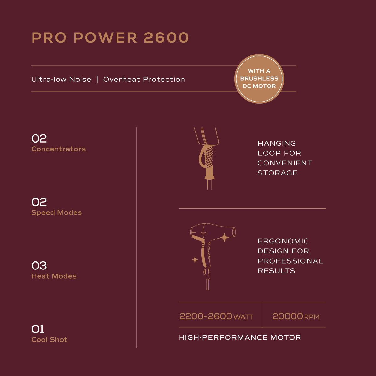 Winston Pro Power Dryer 2600W BLDC | Brushless Motor Technology for Silent High-Speed Drying